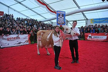 Biggest Cattle Exhibition Austria 9.-10.4.2016_3