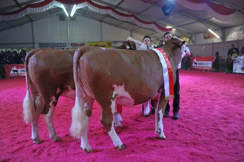 Double victory at the National Show - Josef and Andreas