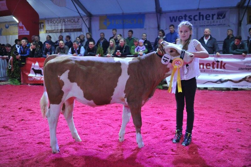 Anna wins the Reserve Champion Title at the National Show with Waldfee