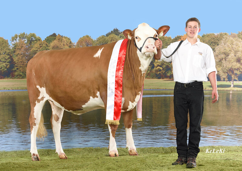 Josef was the overall winner with his heifer, Sabine